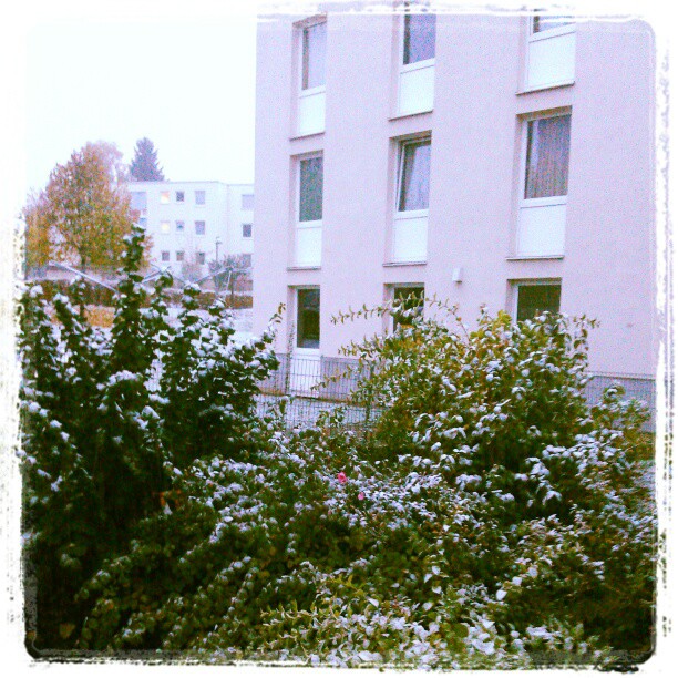 Hallo, wir haben Oktober, ich will noch kein #Schnee