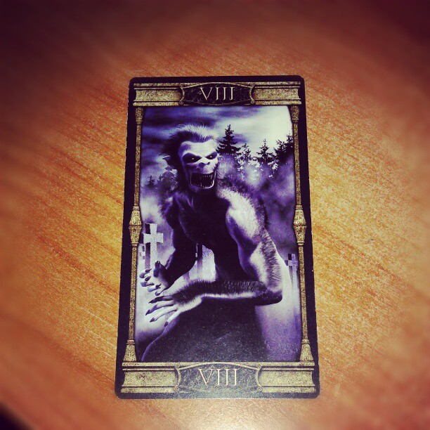 Gestern stand im Zeichen der Kraft #tarot #Tageskarte