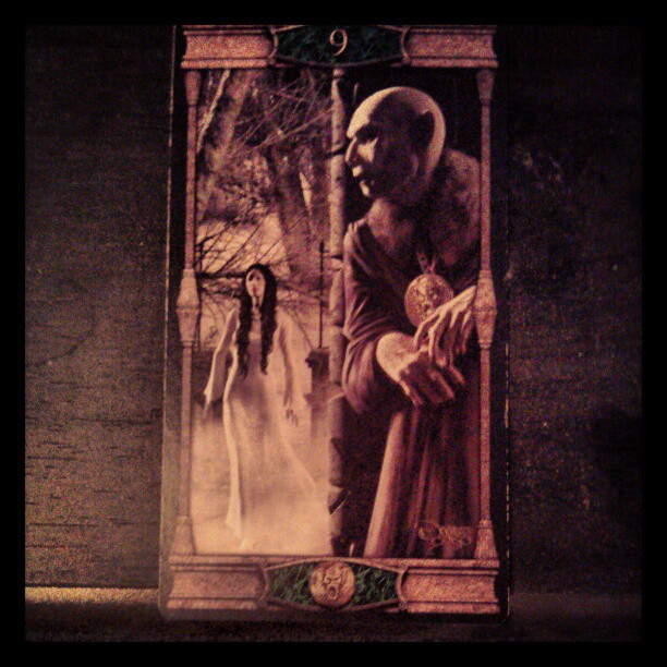 Die neun der Münzen. #tarot #tageskarte #esoterik