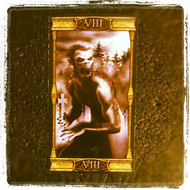 Meine heutige #Tageskarte ist Die Kraft. #tarot