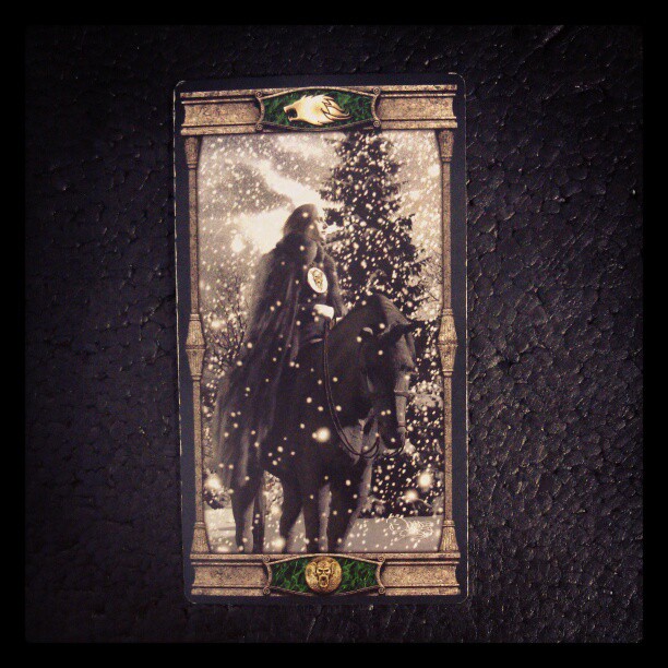 Ritter der Münzen #tarot #tageskarte #esoterik