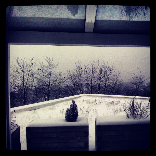Winter....