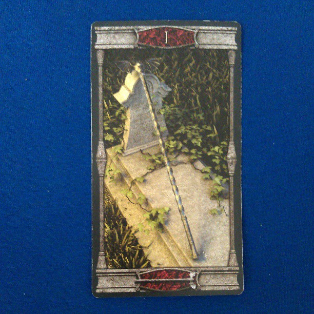 Das Ass der Stäbe. #tarot #tageskarte #esoterik #spiritualität