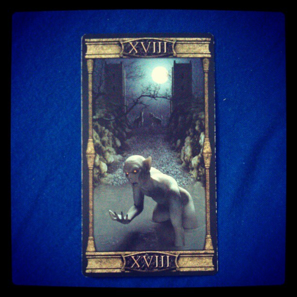 Heutige #tageskarte Der Mond #tarot #esoterik