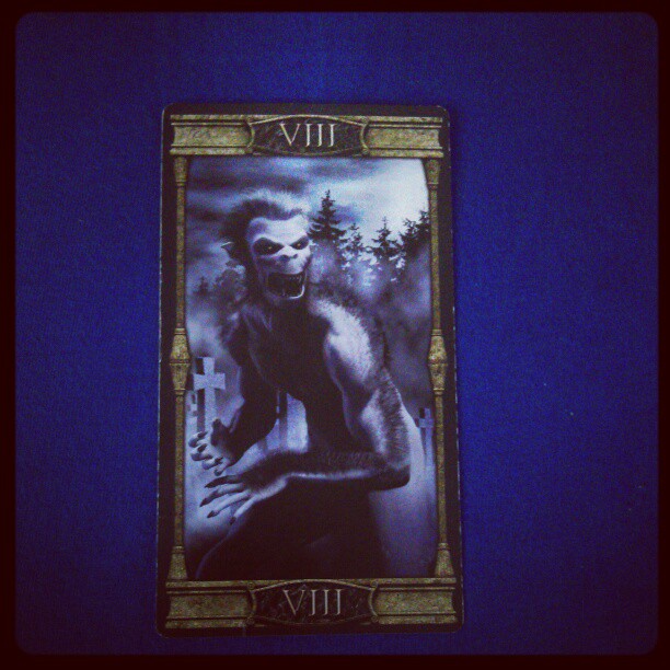Heutige #tageskarte ist die Kraft. #tarot #esoterik