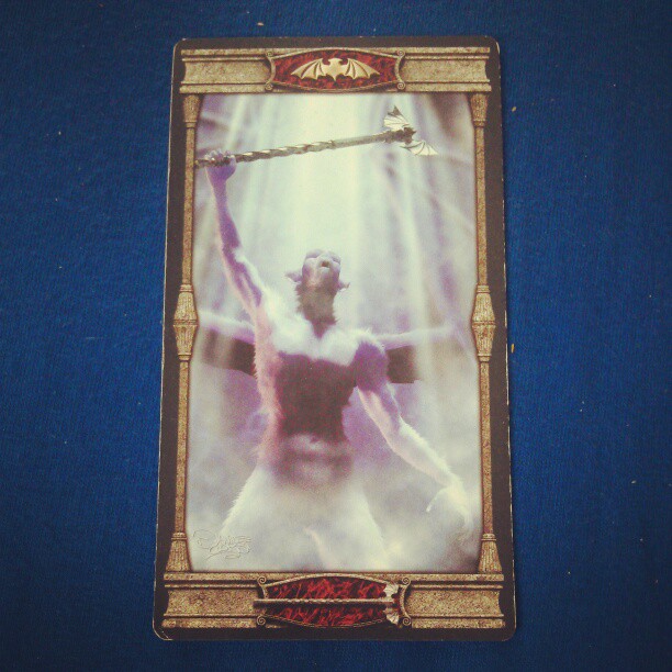 Meine heutige #tageskarte  ist der Page der Stäbe #tarot #esoterik