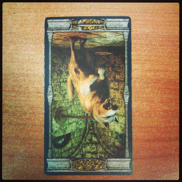Meine #Tageskarte sind die umgekehrten 8 der Schwerter. #tarot #esoterik #spiritualität