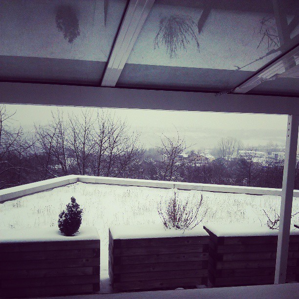 Winter im Frühling....