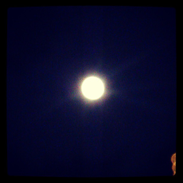#moonlight