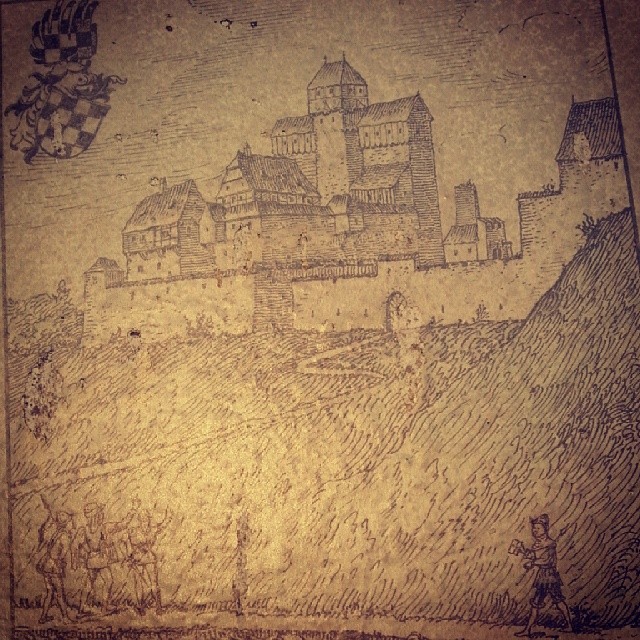Burgruine Hofen
