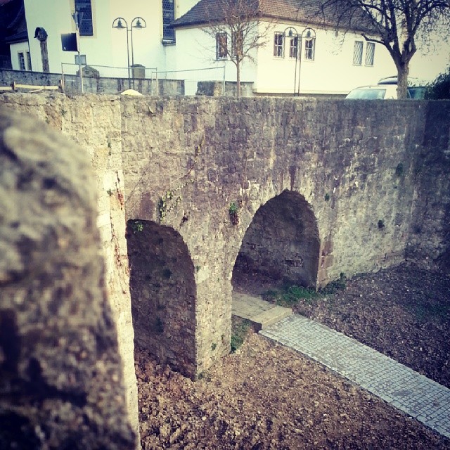 Burgruine Hofen