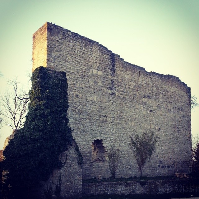 Burgruine Hofen