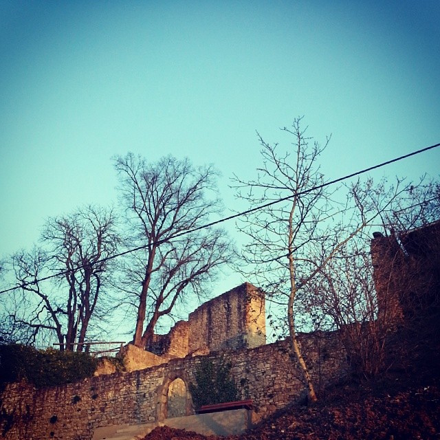 Burgruine Hofen