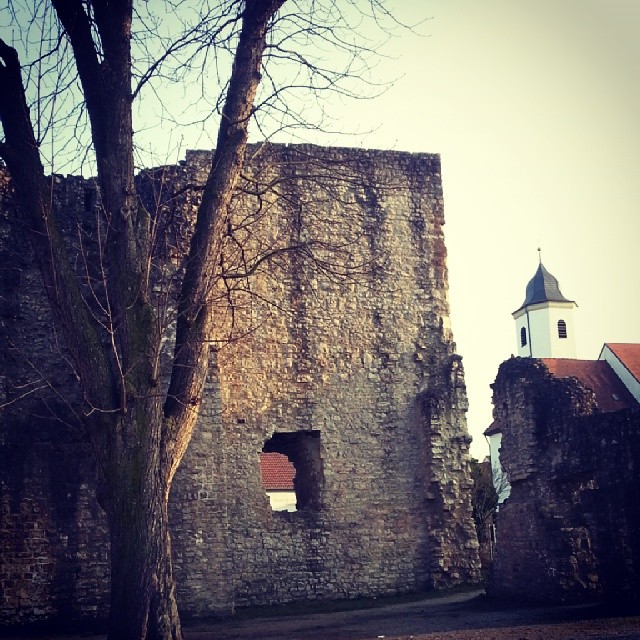 Burgruine Hofen