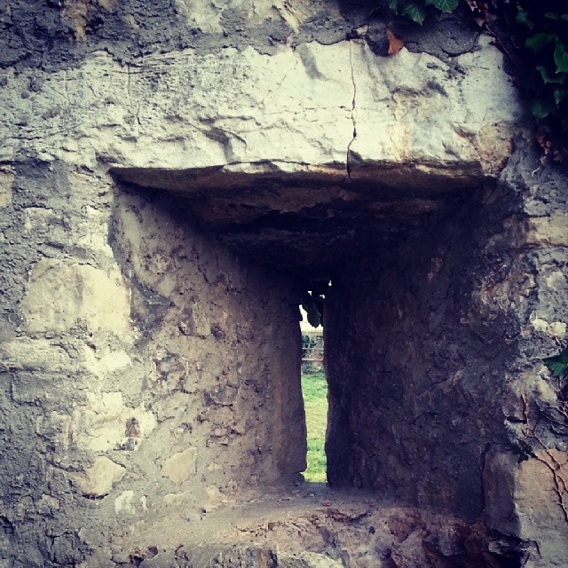 Burgruine Hofen