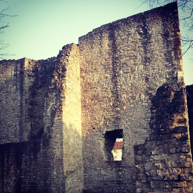 Burgruine Hofen