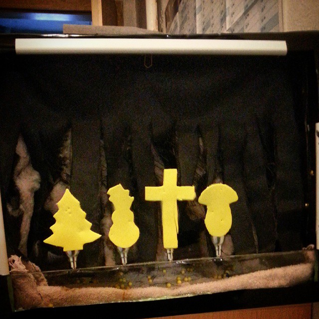 New #Target #airsoft #diy #moosgummi #shooting